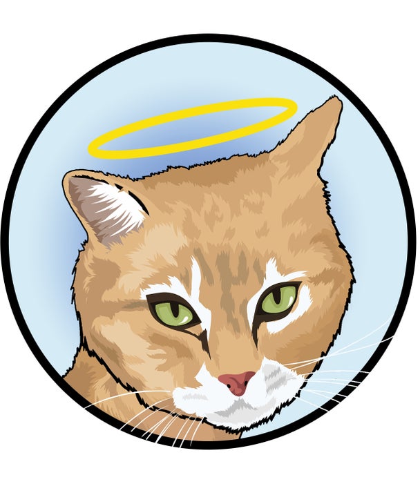 Lemmy the Cat